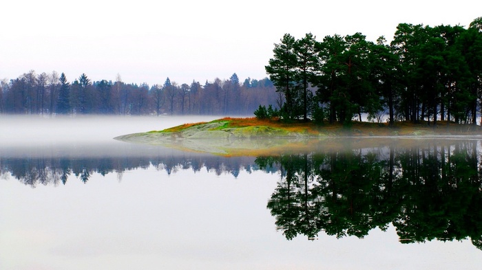 Misty lake with trees and reflection