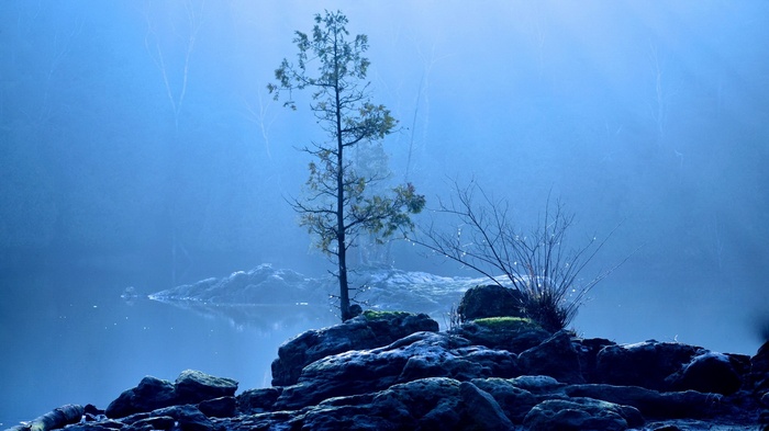 Misty lake with rocks and a lone tree