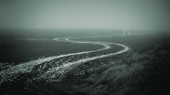 Tire tracks in a foggy field