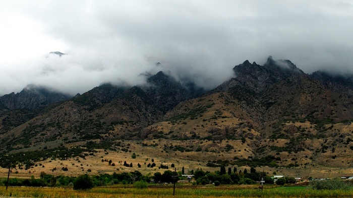 Misty mountains with scattered trees and buildings