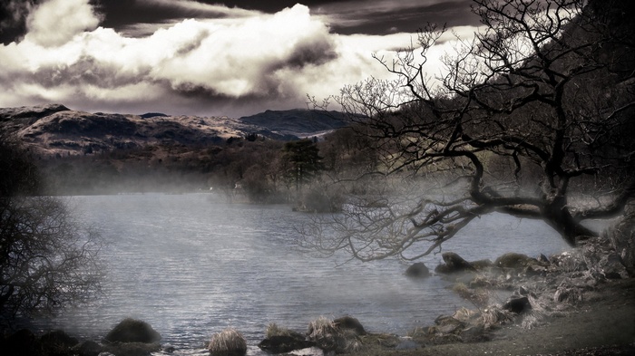 Misty lake with bare tree and mountains