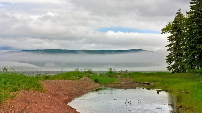 Misty mountains over a lake with trees and grass