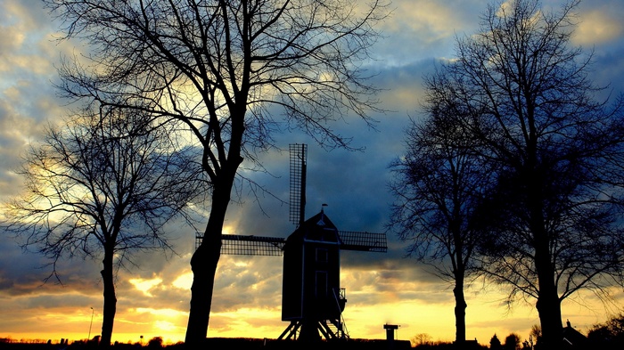 Silhouette of a windmill and trees against a sunset sky