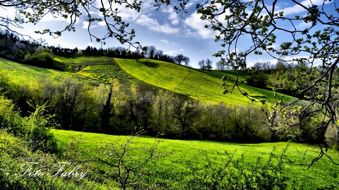 Green rolling hills with trees and a blue sky