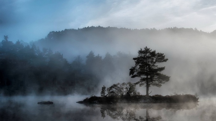 Misty lake with trees and island