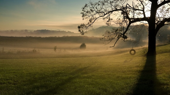 Misty morning landscape with a tire swing on a tree