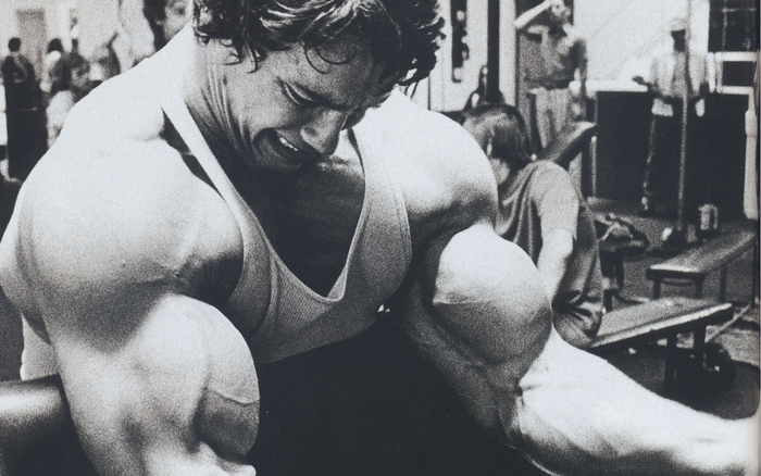 Arnold Schwarzenegger training biceps