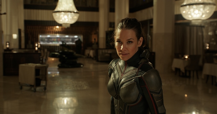 The Wasp from Ant-Man and the Wasp