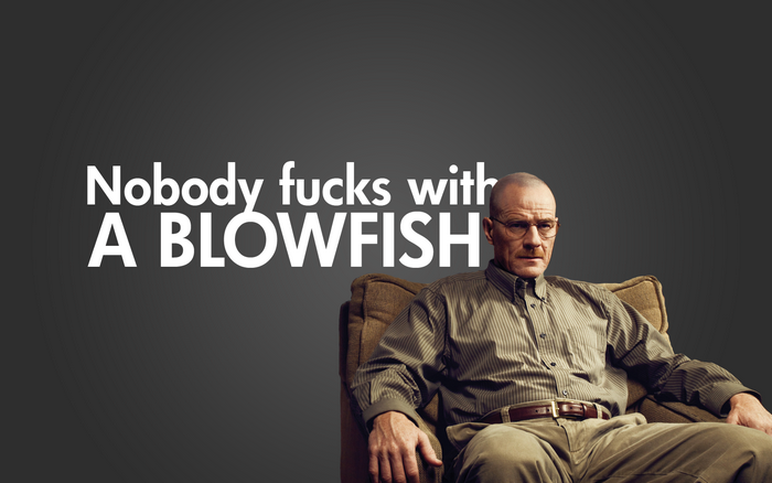Bryan Cranston as Walter White from Breaking Bad