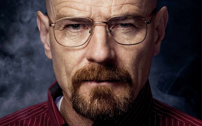 Bryan Cranston as Walter White