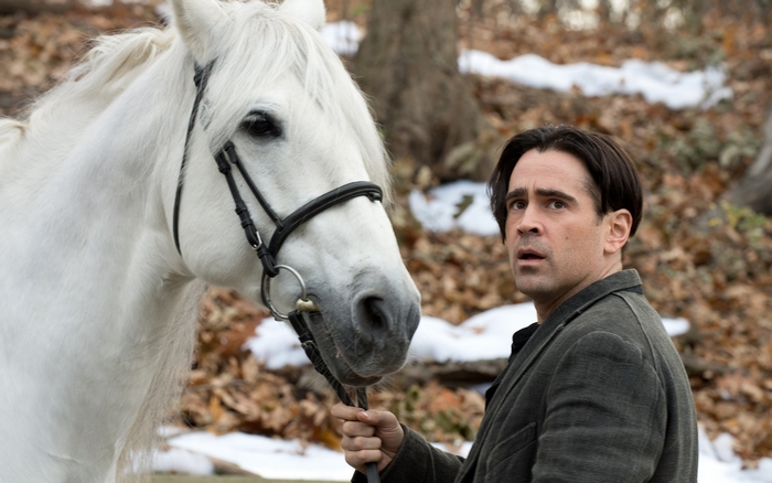 Colin Farrell with a white horse