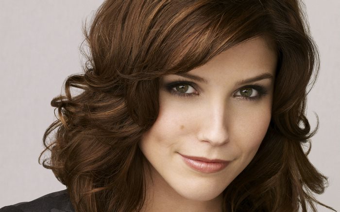 Sophia Bush portrait