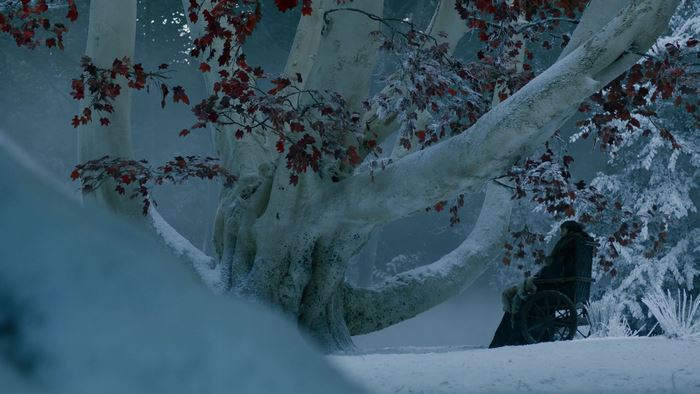 Bran Stark in a wheelchair by the Weirwood Tree