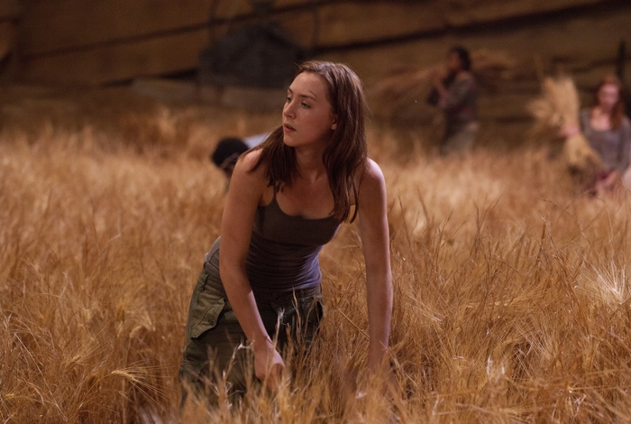 Saoirse Ronan in a wheat field