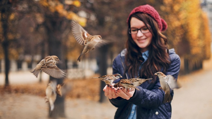 Girl feeding sparrows in a park