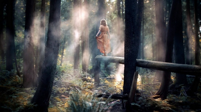 Girl in orange dress standing on a log in a misty forest