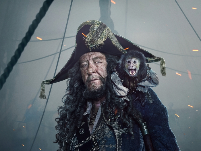 Captain Barbossa and Monkey from Pirates of the Caribbean