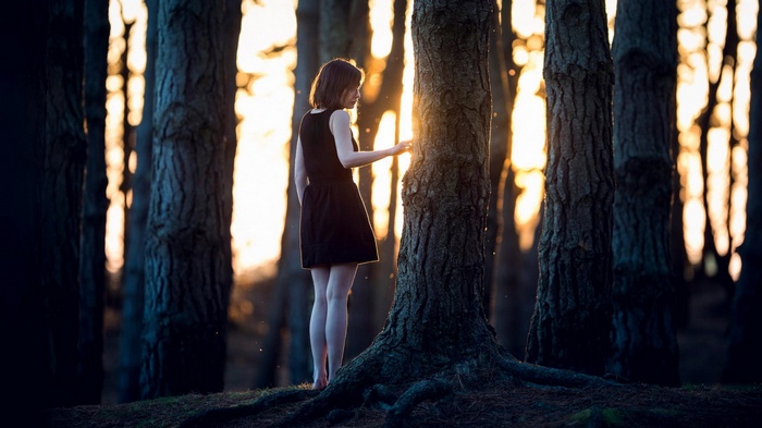 Woman in black dress touching tree in forest at sunset