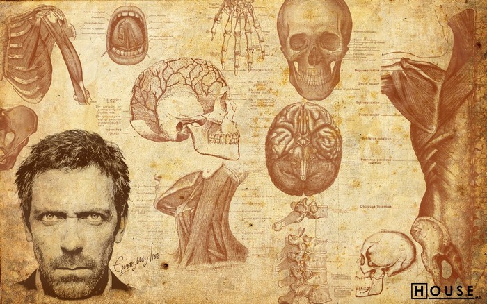 Hugh Laurie as Dr. House with anatomical drawings