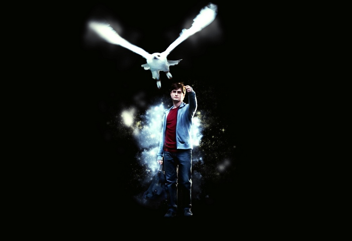 Harry Potter and Hedwig
