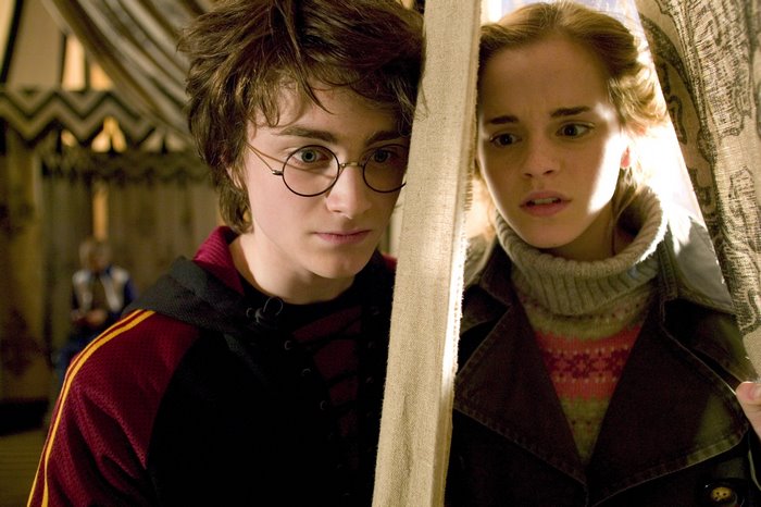 Harry Potter and Hermione Granger