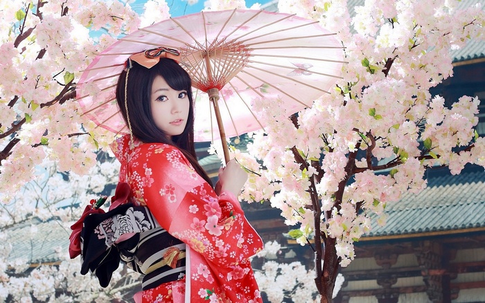 Woman in Kimono holding a parasol near cherry blossoms