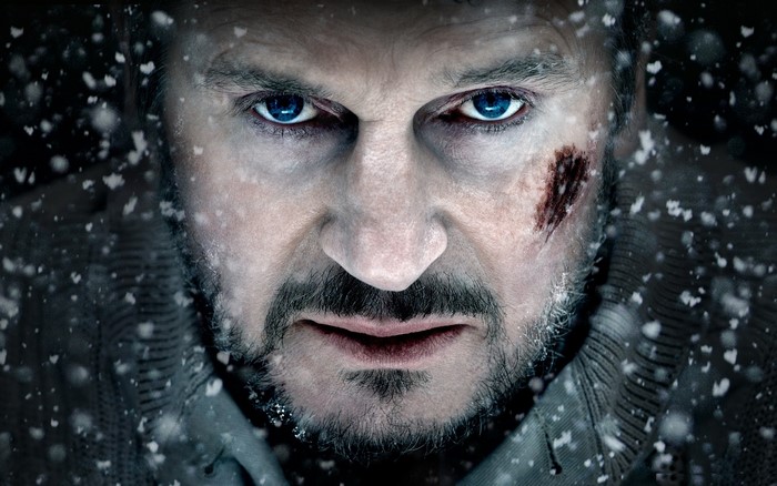 Liam Neeson in The Grey