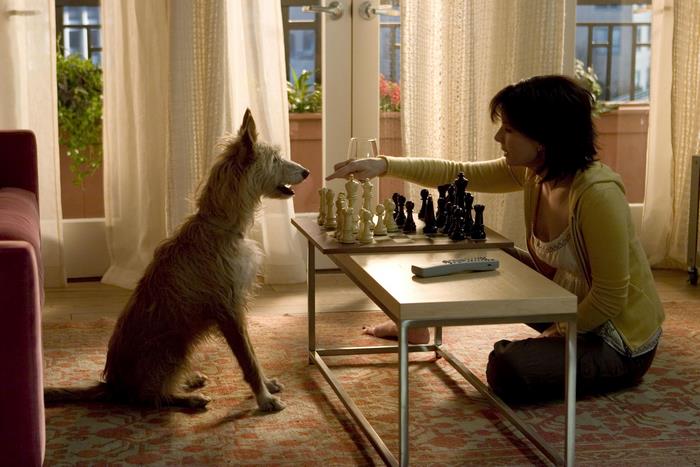 Sandra Bullock playing chess with a dog
