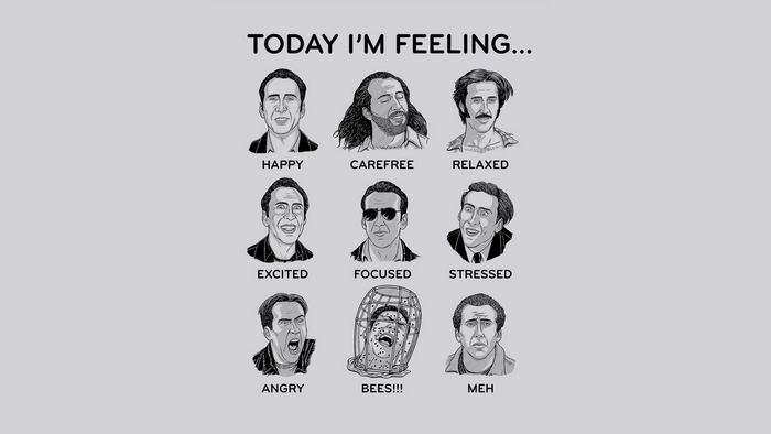 Nicolas Cage emotions meme