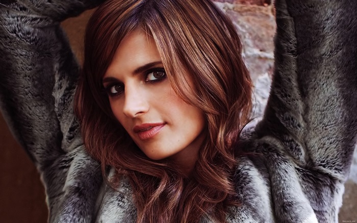 Stana Katic in a fur coat