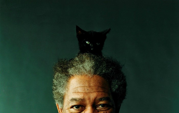 Morgan Freeman with a black cat on his head