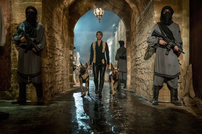 Halle Berry with dogs in a hallway