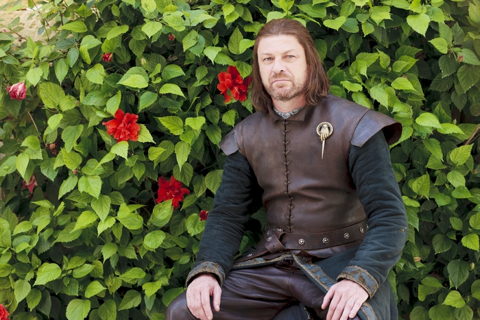 Sean Bean as Ned Stark from Game of Thrones