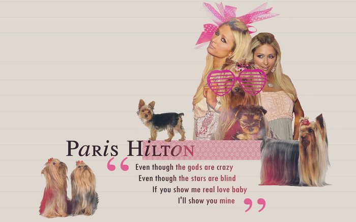 Paris Hilton with Yorkshire Terriers