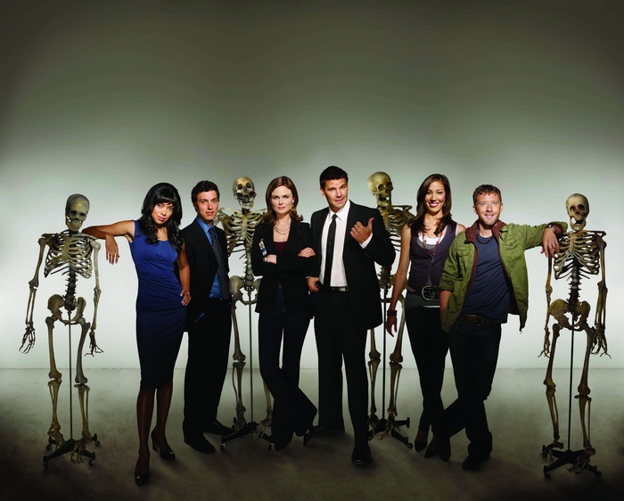 Bones cast with skeletons
