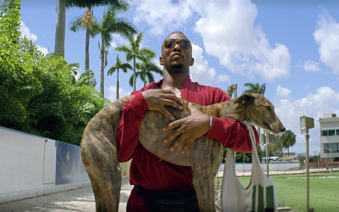 Anthony Mackie holding a greyhound