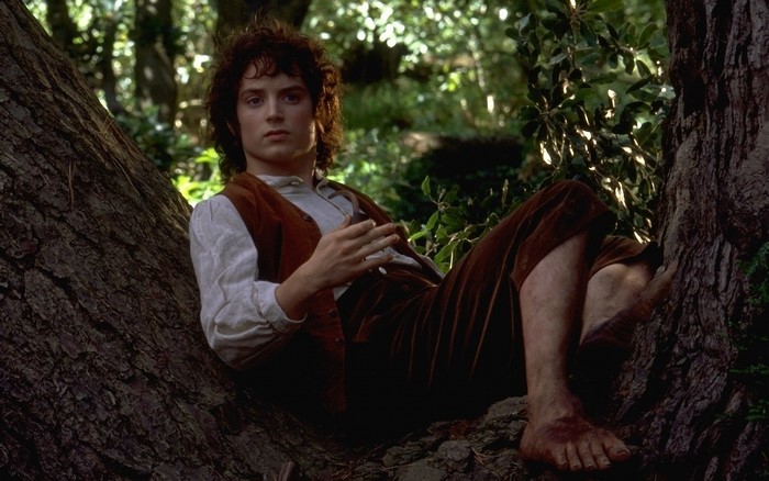 Frodo Baggins from The Lord of the Rings