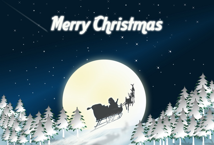 Merry Christmas Santa Claus Sleigh Ride