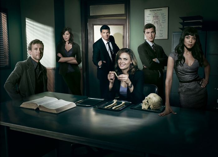 Bones cast in a lab setting