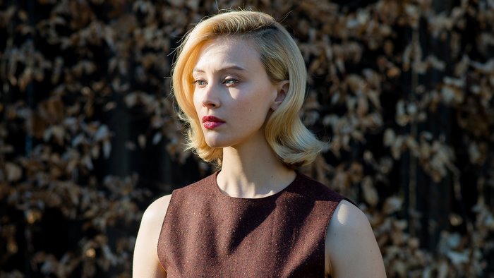 Sarah Gadon in a brown dress