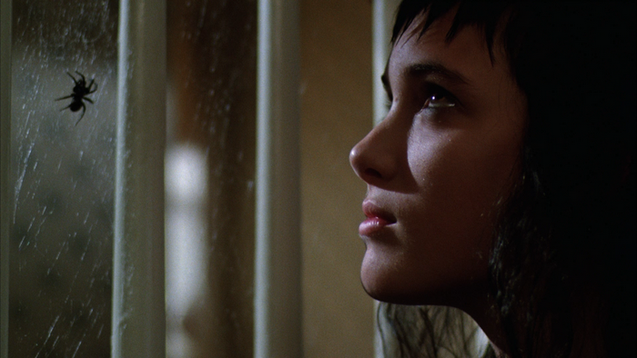 Winona Ryder and a spider on a web