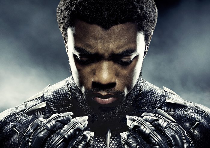 Chadwick Boseman as Black Panther