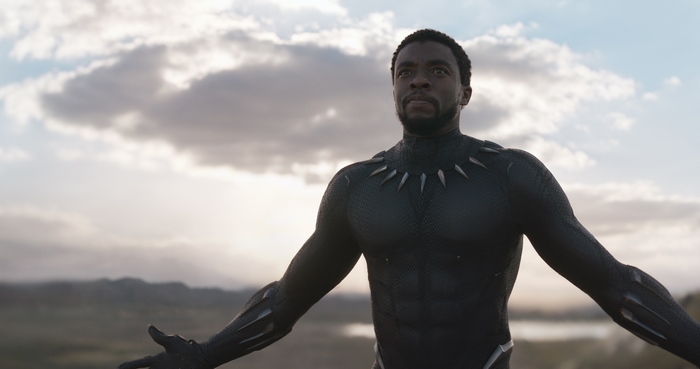 Black Panther from Marvel Cinematic Universe