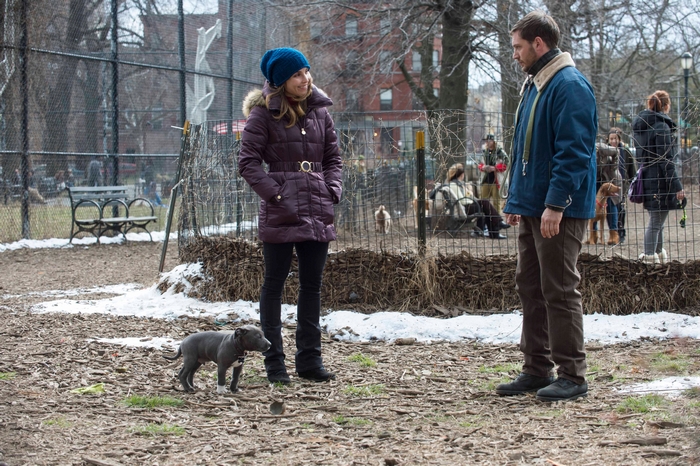 Woman and man in a dog park with a puppy