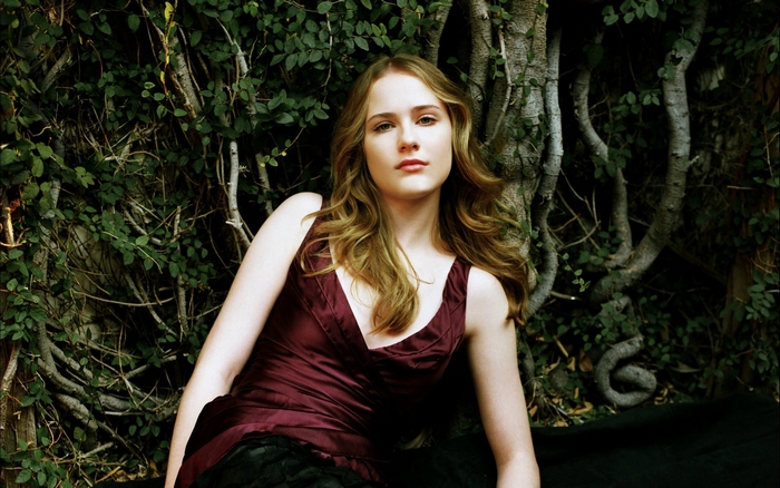 Evan Rachel Wood in a burgundy dress