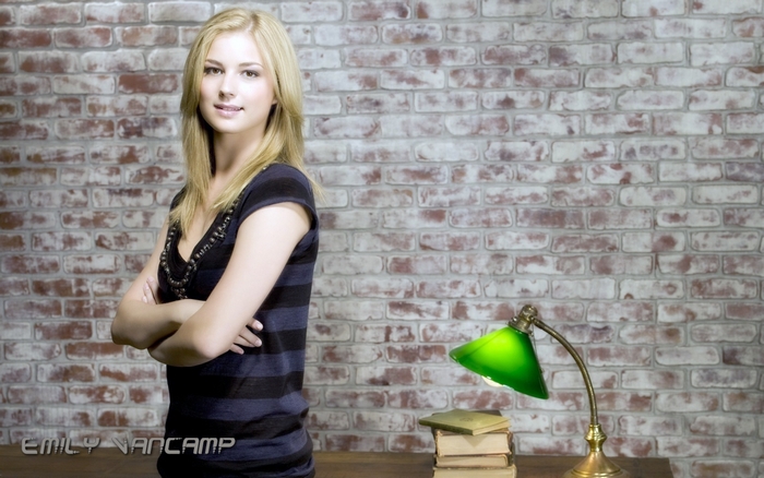 Emily VanCamp