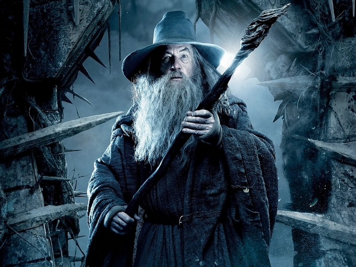 Gandalf the Grey from The Lord of the Rings
