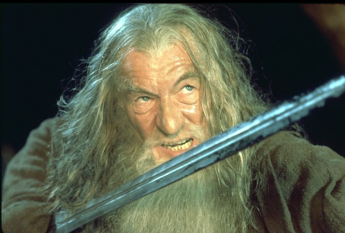 Gandalf the Grey from The Lord of the Rings