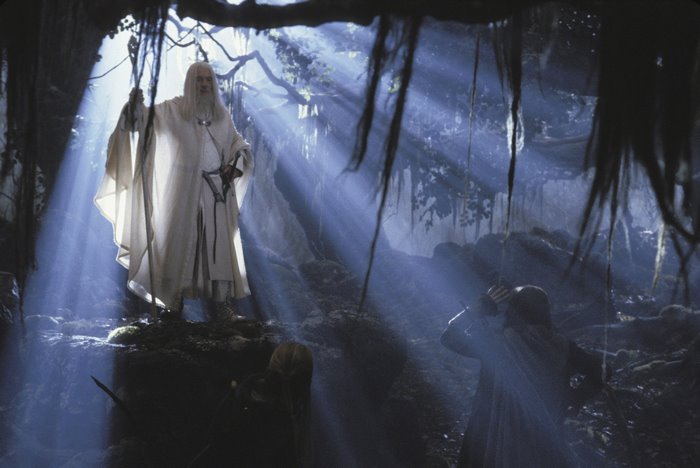 Gandalf from The Lord of the Rings in a forest