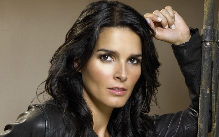 Angie Harmon